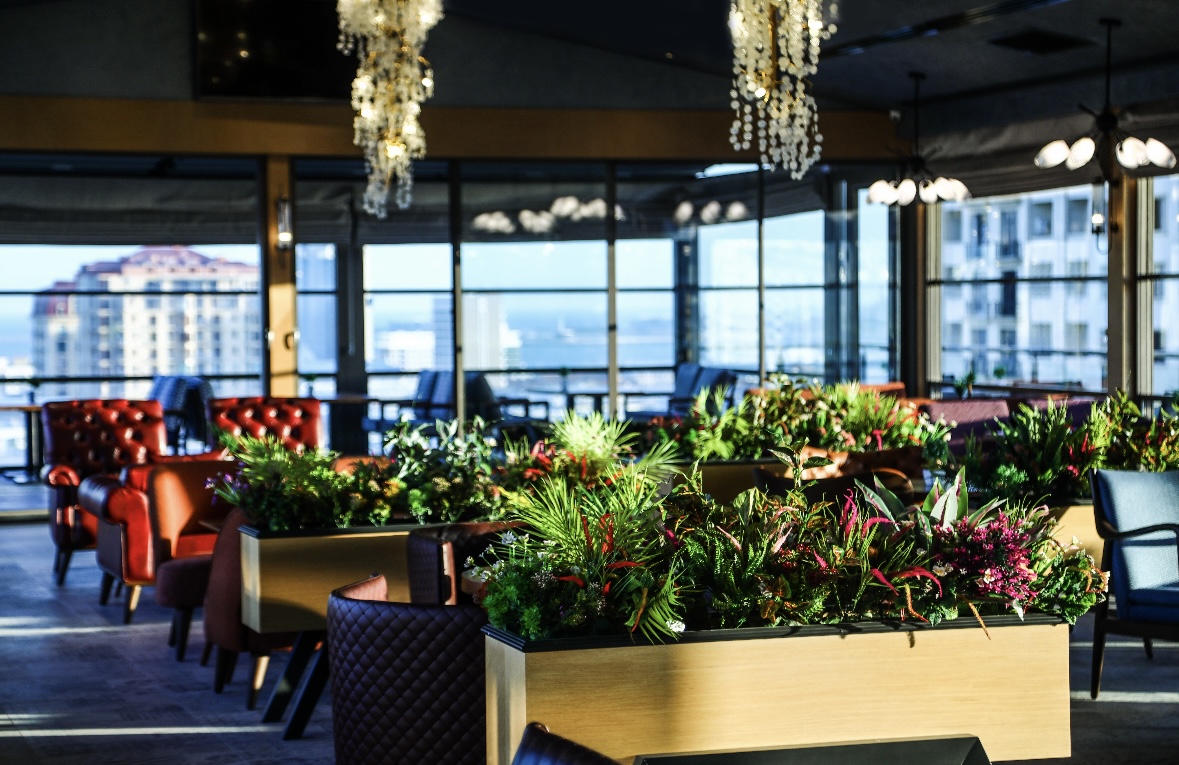 Iris Lounge